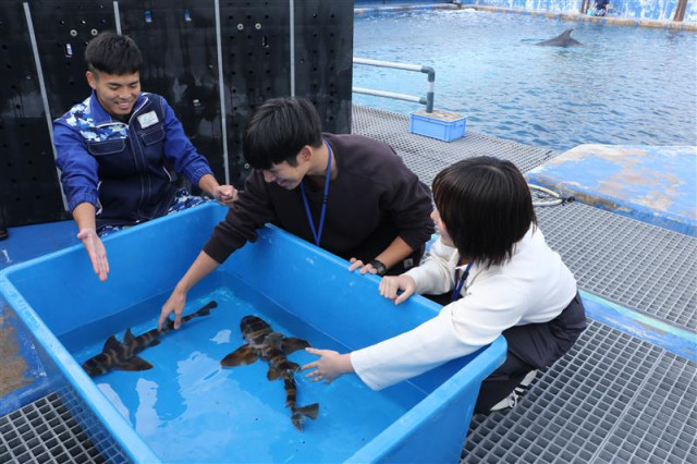 写真はイメージ